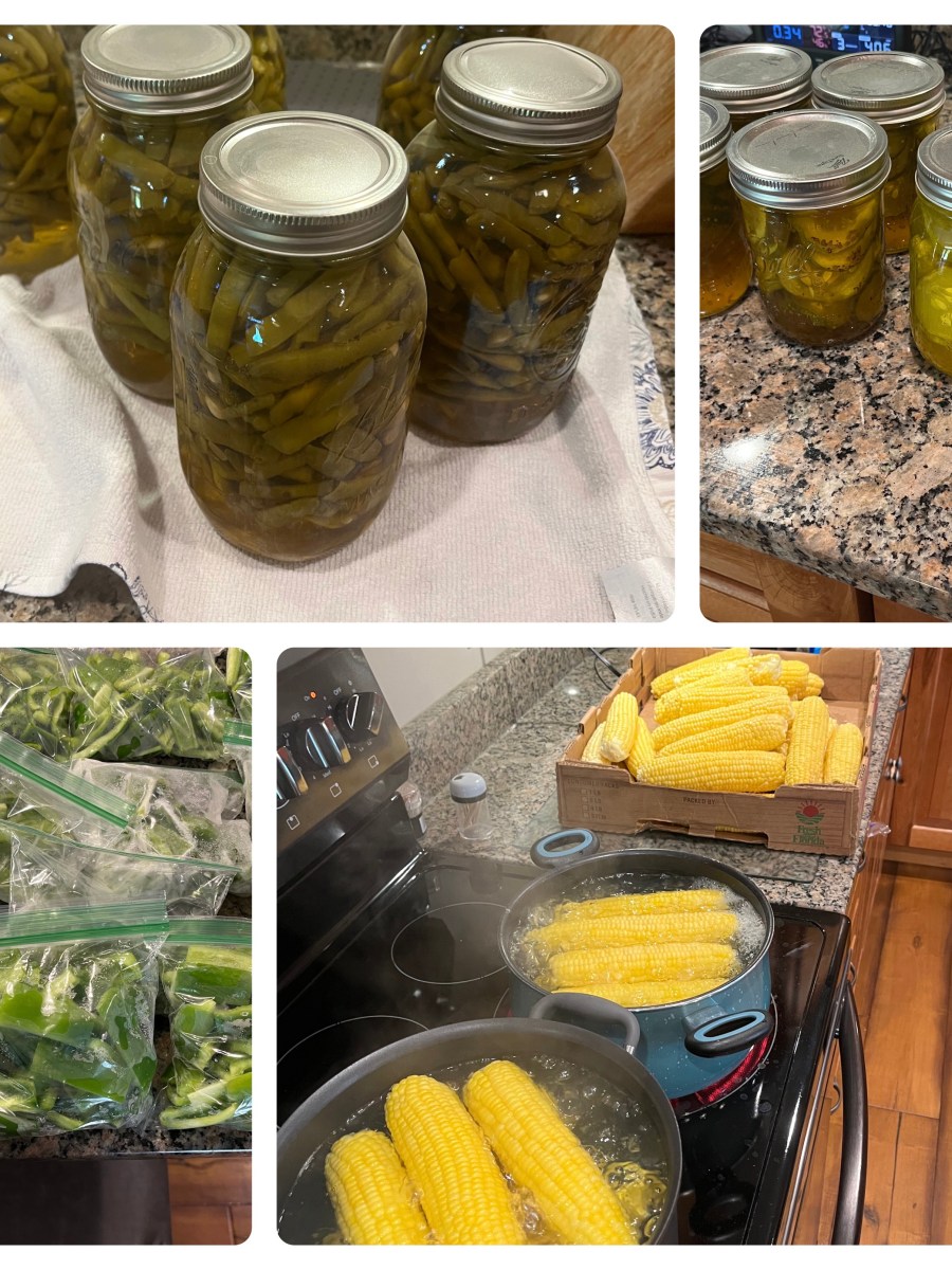 Home Gardening Harvest Time: Best Practices for Collecting and Storing Your Produce