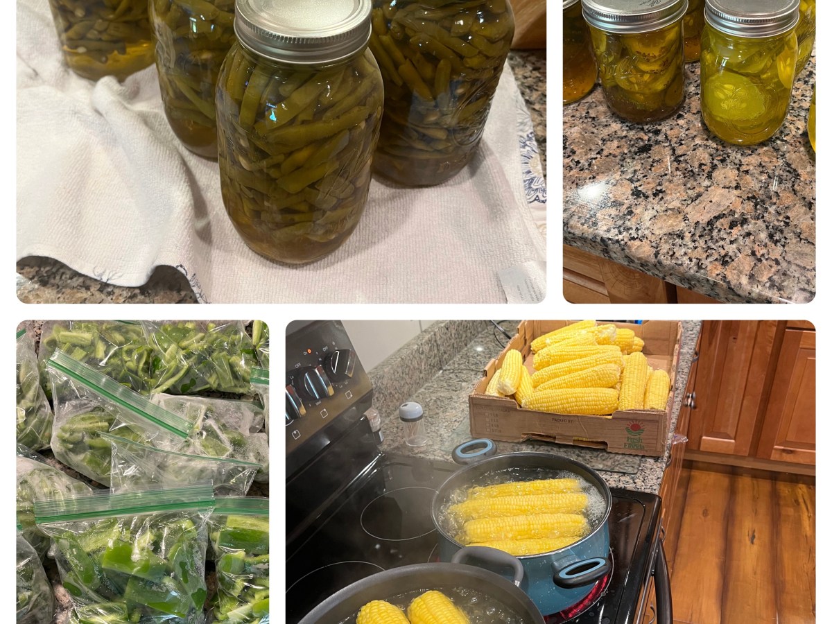Home Gardening Harvest Time: Best Practices for Collecting and Storing Your&nbsp;Produce